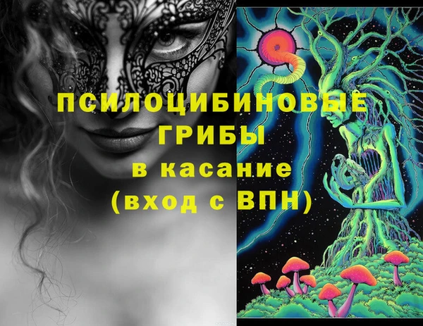 крисы Арсеньев